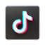 TikTok icon
